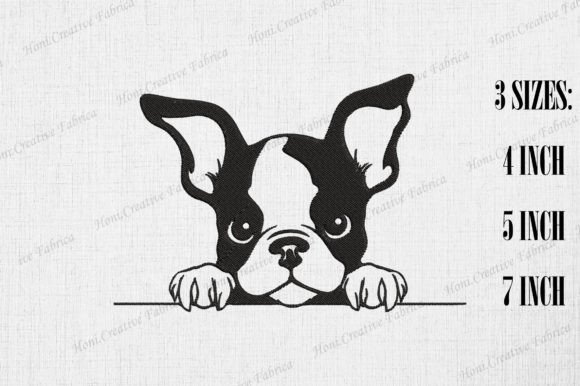 Cute Boston Terrier Dog Peeking Wall