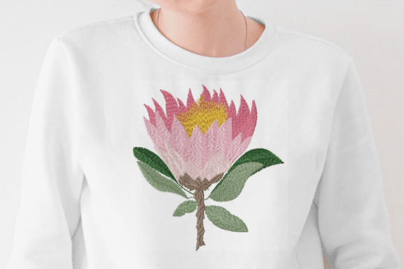 Protea Pink